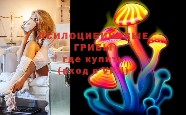 спиды Краснослободск