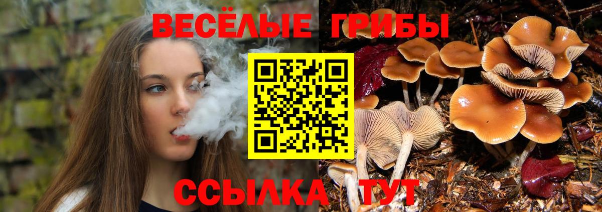 хочу   Галлюциногенные грибы мухоморы  Вход с VPN  Троицк  Галлюциногенные грибы ЛСД 